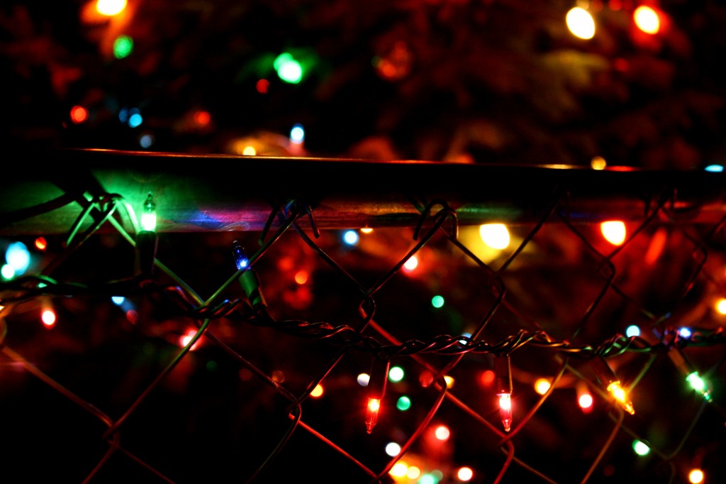 christmas_lights_on_fence