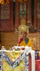 Mingyur Rinpoche